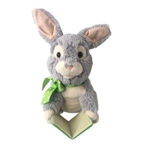 Sound N Light Plush Bunny Rabbit Stuffed Animal (Reads Peter Rabbit)